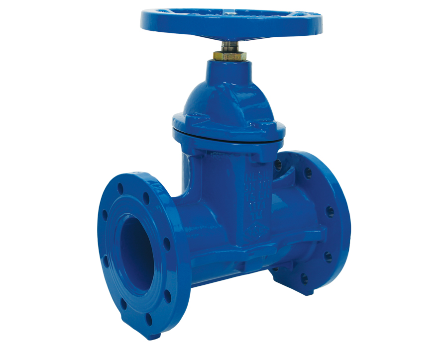 F5 Resilient Seated Gate Valve